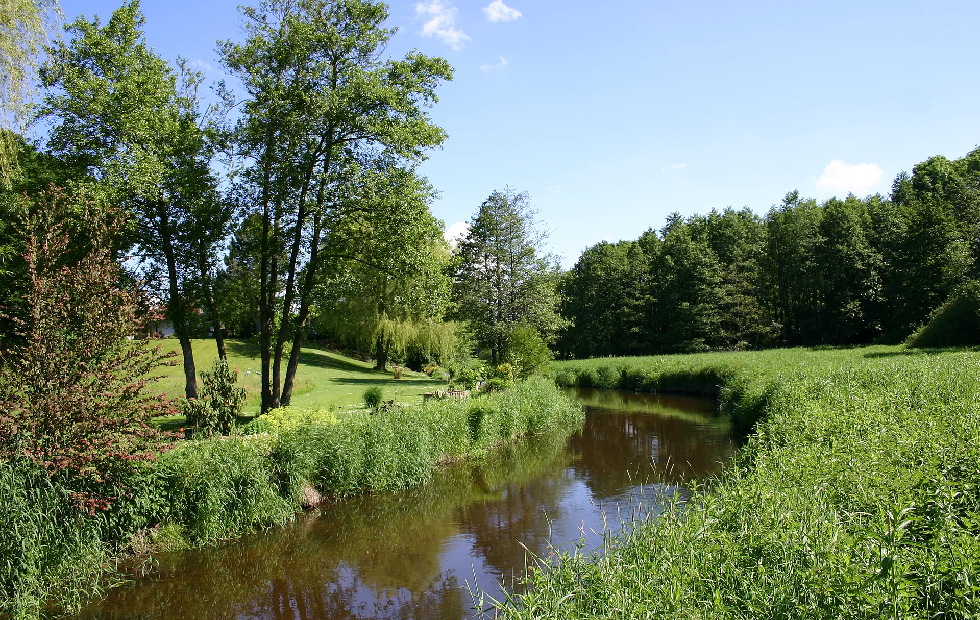 Die Treene in Tarp